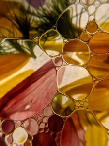 vegan skincare oils